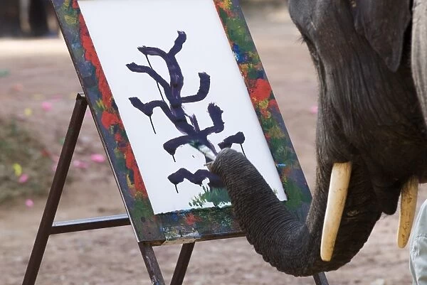 Elephant painting, Chiang Mai, Thailand, Southeast Asia, Asia