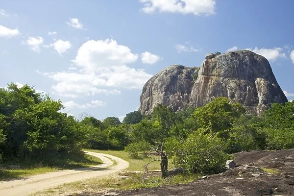 Elephant Rock from forest track, Yala National Park, Sri Lanka, Asia