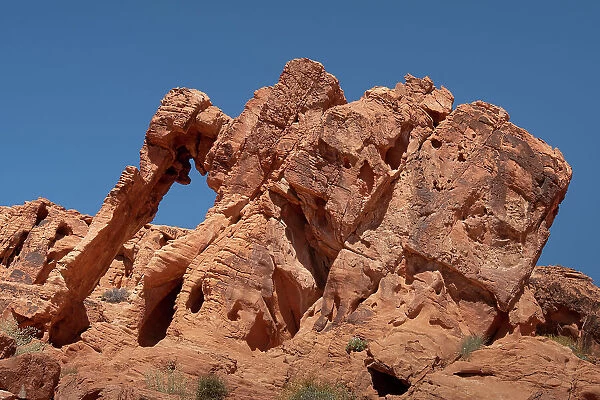 Elephant Rock, Natural Rock Formation, Valley of Fire State Park, Nevada, United States of America, North America