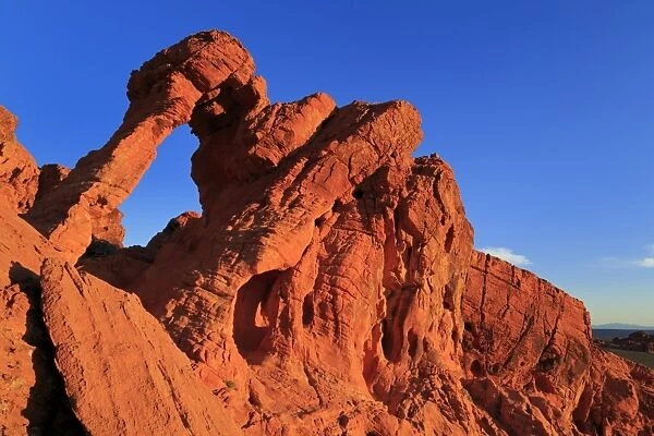 Elephant Rock, Valley of Fire State Park, Overton, Nevada, United States of America
