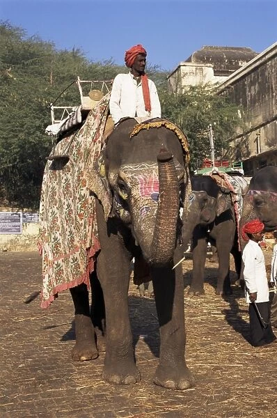 Elephant transport for tourists