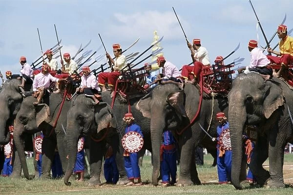 Elephants at festival