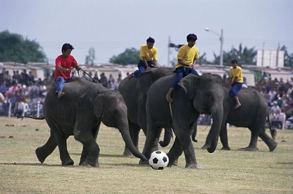 Elephants playing football
