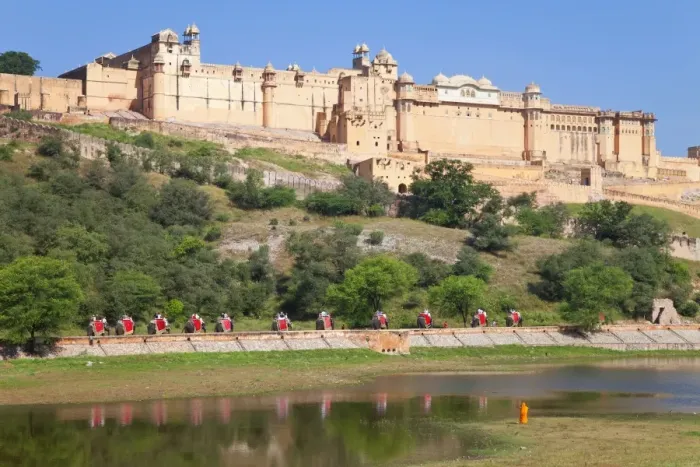 Framed Print : Elephants taking tourists to the Amber Fort near Jaipur, Rajasthan, India, Asia Framed Print : Elephants taking tourists to the Amber Fort near Jaipur, Rajasthan, India, Asia