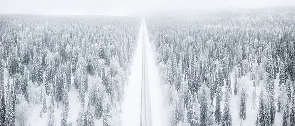 Elevated panoramic view of road along the snow covered forest, Pallas-Yllastunturi National Park