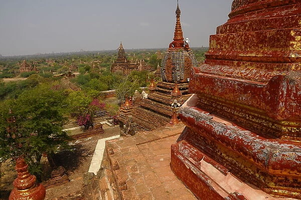 Elevated view of Bagan temples, Bagan (Pagan), UNESCO World Heritage Site, Myanmar, Asia