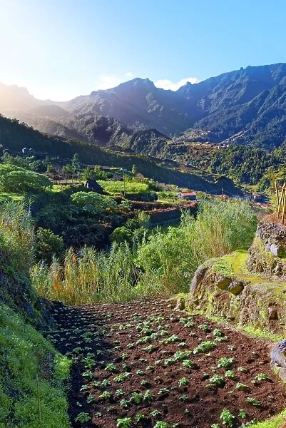 Elevated view of farmland, hills and mountains at Lameiros, near Sao Vicente, Madeira