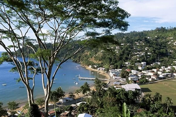 Elevated view over the fishing village of Charlotteville
