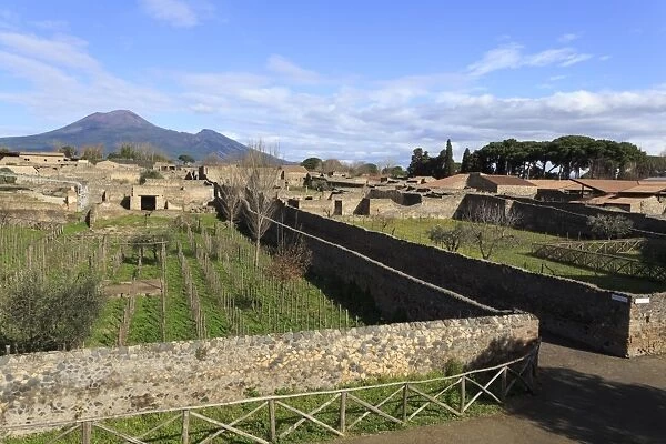 Elevated view to Mount Vesuvius, over Garden of the Fugitives, Roman ruins of Pompeii