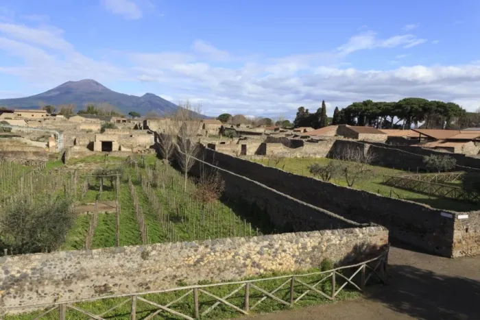 Framed Print : Elevated view to Mount Vesuvius, over Garden of the Fugitives, Roman ruins of Pompeii Framed Print : Elevated view to Mount Vesuvius, over Garden of the Fugitives, Roman ruins of Pompeii