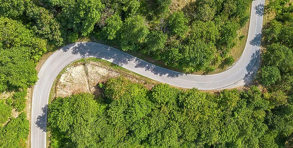 Elevated view of road snaking through trees near Borello, Emilia Romagna, Italy, Europe