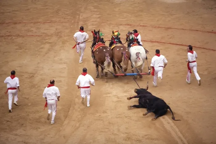 Framed Print : End of the bullfight, Plaza de Toros, San Fermin festival, Pamplona, Navarra Framed Print : End of the bullfight, Plaza de Toros, San Fermin festival, Pamplona, Navarra