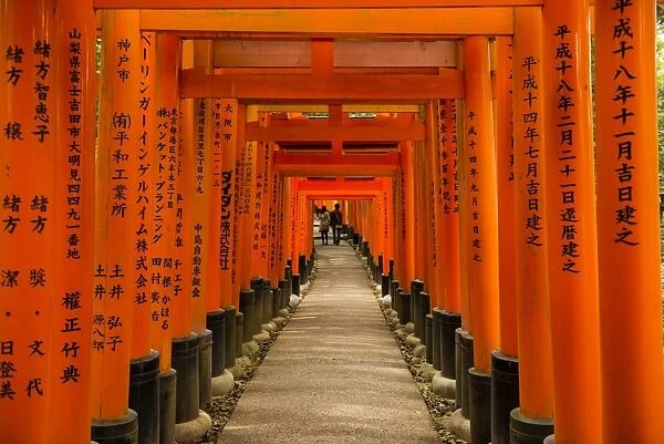 The Endless Red Gates (torii) of Kyotos Fushimi Inari Shrine, Kyoto, Japan, Asia