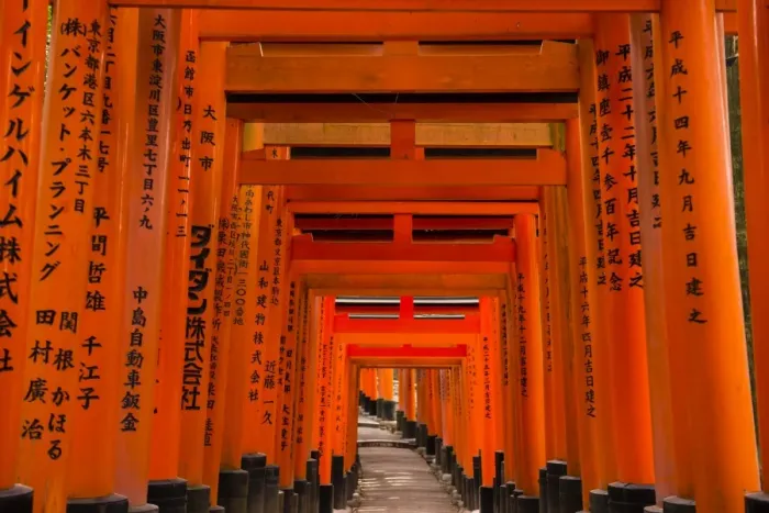 Framed Print : The Endless Red Gates (torii) of Kyotos Fushimi Inari Shrine, Kyoto, Japan, Asia Framed Print : The Endless Red Gates (torii) of Kyotos Fushimi Inari Shrine, Kyoto, Japan, Asia