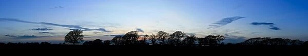 English winter sky line, West Sussex, England, United Kingdom, Europe