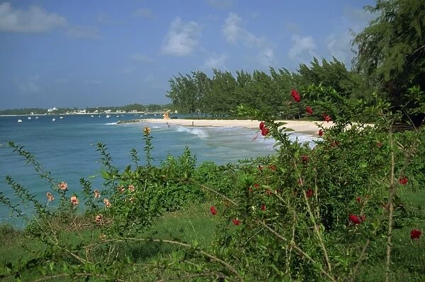 Enterprise Beach, Barbados, West Indies, Caribbean, Central America