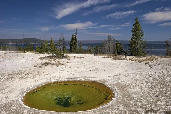 Ephedra spring, West Thumb Geyser Basin, Yellowstone National Park, UNESCO World Heritage Site, Wyoming, United States of America, North America