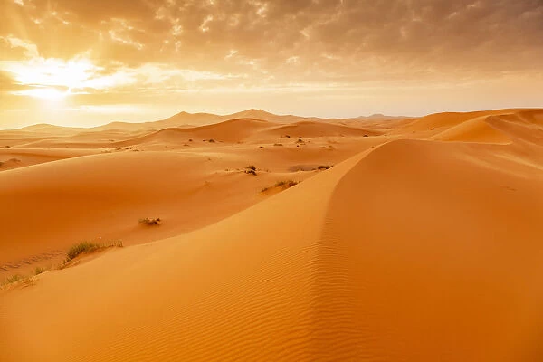 Erg Chebb at sunrise, Sahara Desert, Southern Morocco, North Africa, Africa