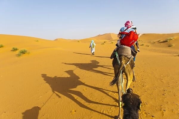 Erg Chebbi Desert, Sahara Desert near Merzouga, Morocco, North Africa, Africa