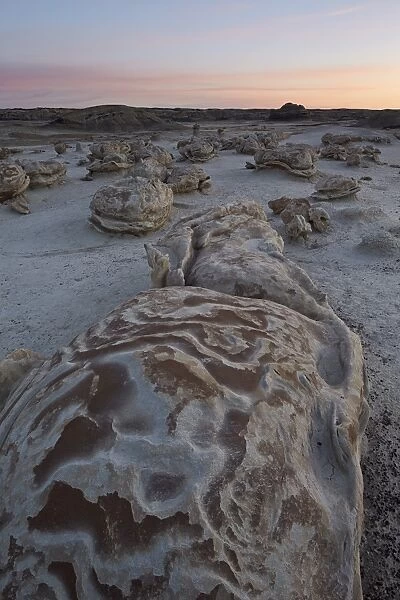 Eroded boulder at the Egg Factory, Bisti Wilderness, New Mexico, United States of America, North America
