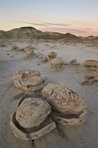 Eroded boulders at the Egg Factory, Bisti Wilderness, New Mexico, United States of America, North America
