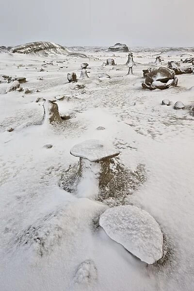 Eroded boulders at the Egg Factory with fresh snow, Bisti Wilderness, New Mexico, United States of America, North America