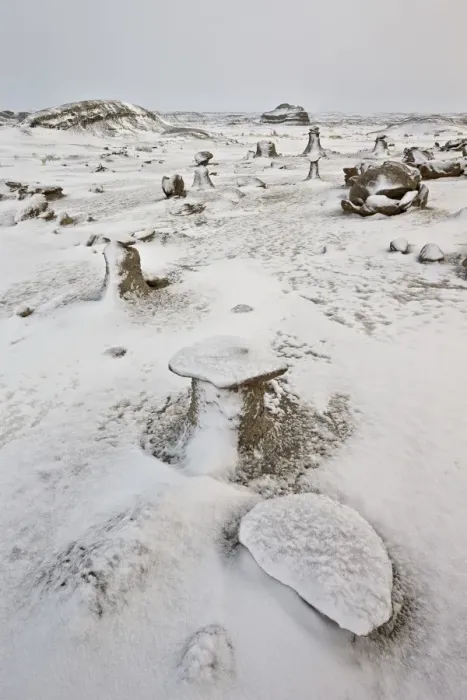 Framed Print : Eroded boulders at the Egg Factory with fresh snow, Bisti Wilderness, New Mexico, United States of America, North America Framed Print : Eroded boulders at the Egg Factory with fresh snow, Bisti Wilderness, New Mexico, United States of America, North America