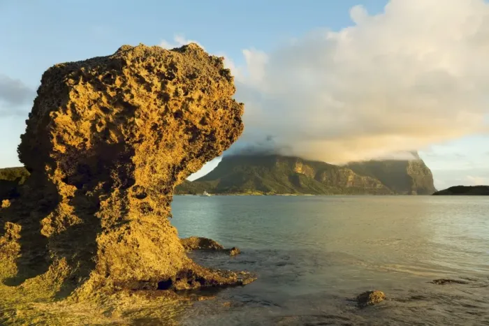 Framed Print : Eroded calcarenite rock (cemented coral sands) with Mount Lidgbird and Mount Gower by the lagoon with the worlds most southerly coral reef, on this 10km long volcanic island in the Tasman Sea, Lord Howe Island, UNESCO World Heritage Site