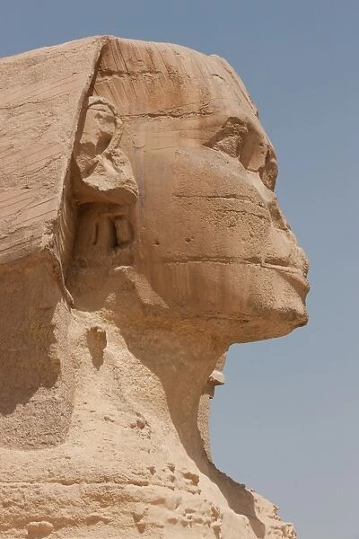 Detail of the eroded face of the Sphinx in Giza, UNESCO World Heritage Site, near Cairo, Egypt, North Africa, Africa