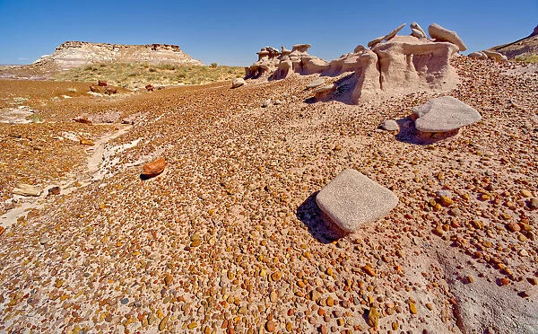 An eroded sandstone formation called a Sandcastle, below the Blue Mesa in Petrified