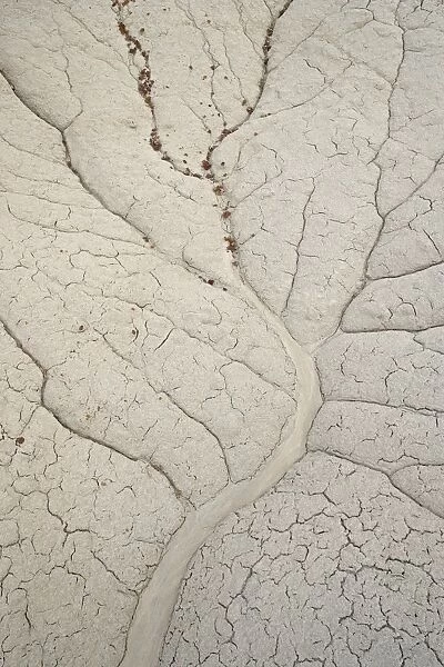 Erosion patterns in a small drainage, Bisti Wilderness, New Mexico, United States of America
