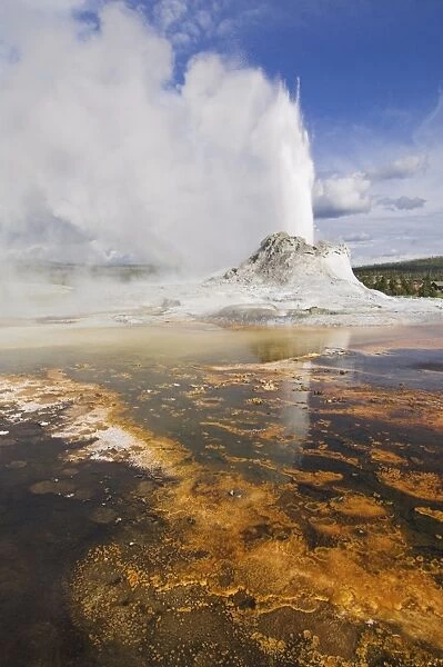 Eruption of Castle Geyser with thermophilic bacterica mats in foreground