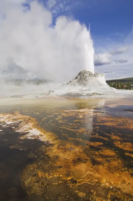 Framed Print : Eruption of Castle Geyser with thermophilic bacterica mats in foreground Framed Print : Eruption of Castle Geyser with thermophilic bacterica mats in foreground
