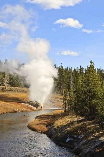 Eruption of Riverside Geyser seen from Firehole River bridge, Upper Geyser Basin, Yellowstone National Park, UNESCO World Heritage Site, Wyoming, United States of America, North America