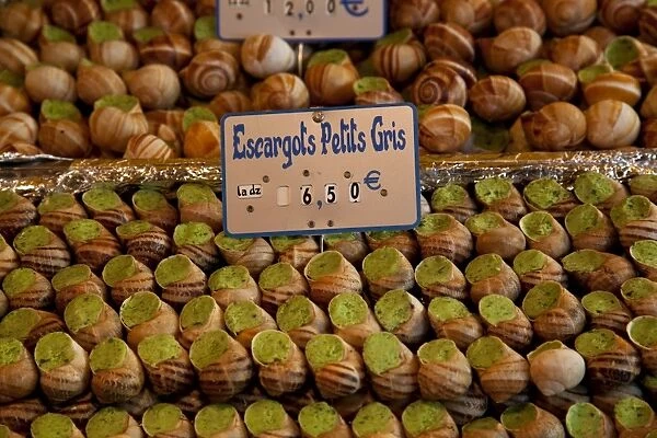 Escargot (edible land snails) for sale at local market in Paris, France, Europe