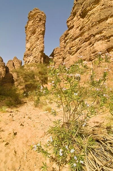 Essendilene Gorge, near Djanet, Southern Algeria, North Africa, Africa
