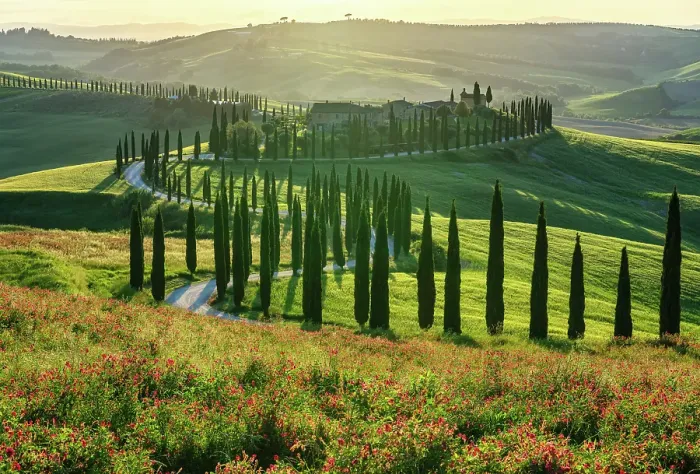 Framed Print : Evening light over Podere Baccoleno, Crete Senesi, Tuscany, Italy Framed Print : Evening light over Podere Baccoleno, Crete Senesi, Tuscany, Italy