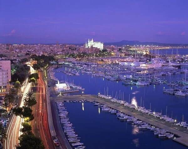 Evening lights, with boats in the marina and Palma cathedral across the bay