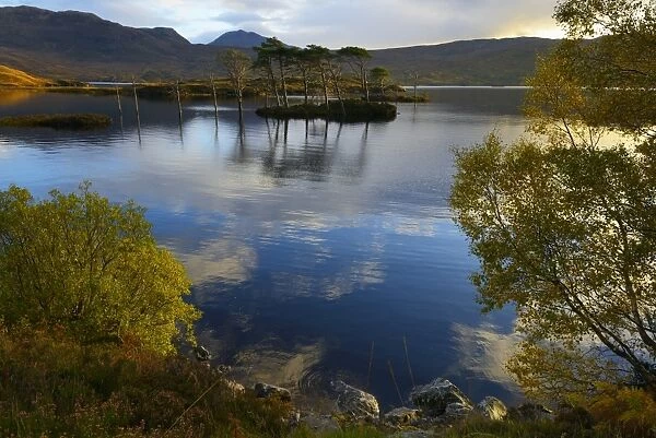 Evening sunlight, Loch Assynt, National Nature Reserve, Sutherland, Highlands, Scotland, United Kingdom, Europe