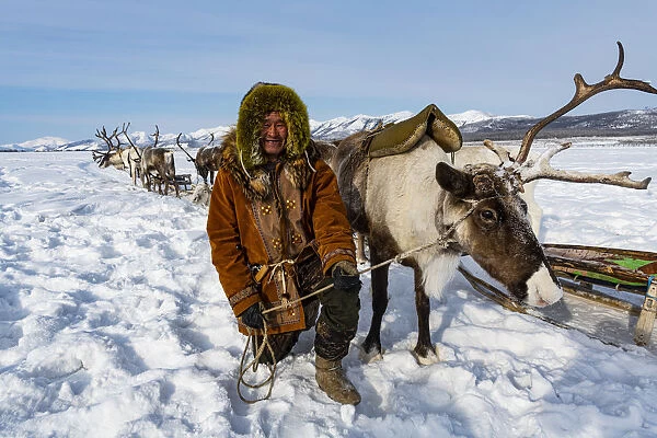Evenk reindeer breeder with reindeers, Oymyakon, Sakha Republic (Yakutia), Russia
