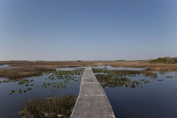 Everglades National Park, UNESCO World Heritage Site, Florida, United States of America