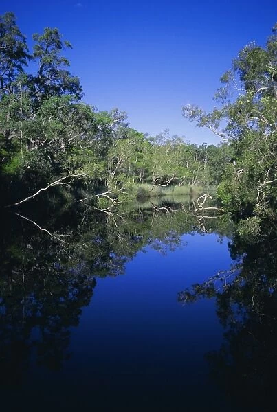 Everglades, Noosa, Queensland, Australia