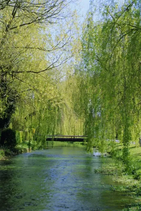 Framed Print : Evoissons River, Guizancourt, near Poix, Picardie (Picardy), France, Europe Framed Print : Evoissons River, Guizancourt, near Poix, Picardie (Picardy), France, Europe