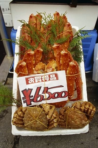 Expensive delicacies in the seafood market at Hakodate