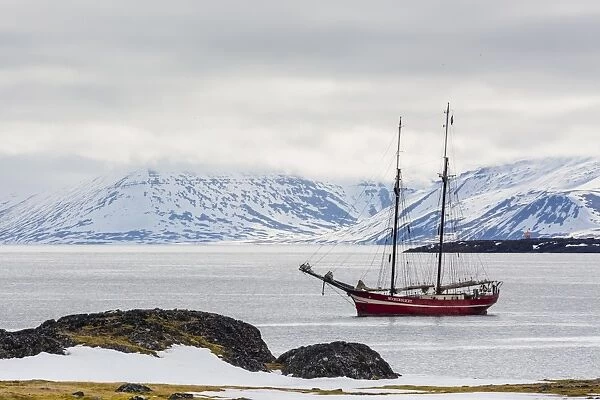The exploration ship Northern Lights at anchor in Varsolbukta, Bellsund, Spitsbergen, Svalbard, Arctic, Norway, Scandinavia, Europe