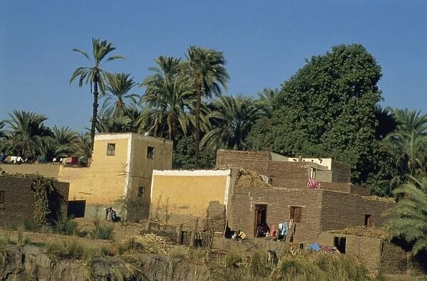 Exterior of mudbrick houses and palm trees on the bank of the River Nile