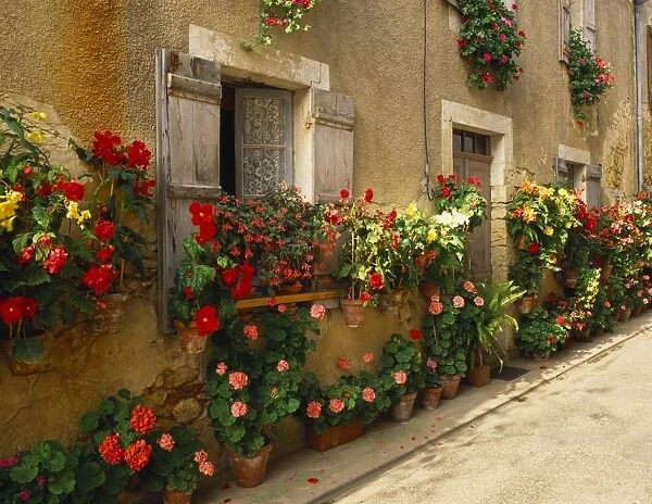 Exterior of a Rustic House Covered with Flowers, Landes, Aquitaine, France