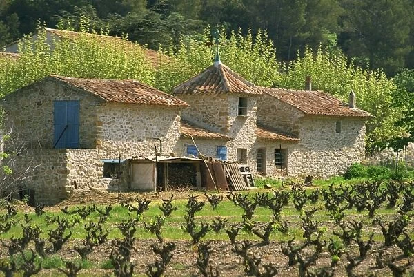 Exterior of a stone farmhouse in vineyard near Pierrefeu, Var, Provence, France, Europe