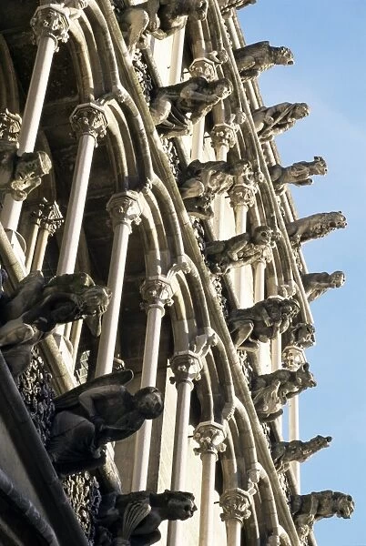 Facade with false gargoyles, Eglise Notre-Dame, Dijon, Burgundy, France, Europe