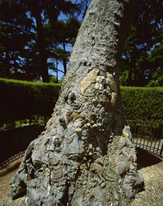 Framed Print : Fairy tree, Fitzroy Gardens, Melbourne, Victoria, Australia, Pacific Framed Print : Fairy tree, Fitzroy Gardens, Melbourne, Victoria, Australia, Pacific